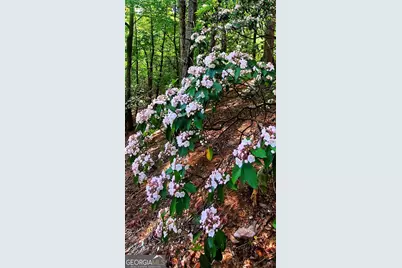 Lot 3 Gold Ridge Trail, Cherrylog, GA 30522 - Photo 17