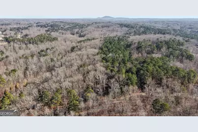 45 Pruitt Road, Alpharetta, GA 30004 - Photo 3