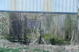 6525 Gum Neck Landing, Columbia, NC 27925 - Photo 3