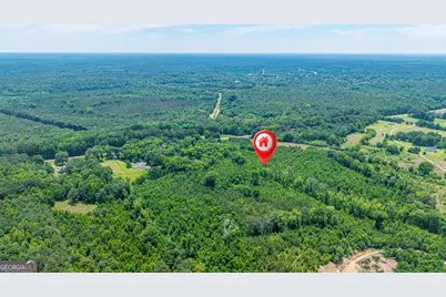 0 Washington Highway, Union Point, GA 30669 - Photo 5