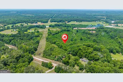 0 Washington Highway, Union Point, GA 30669 - Photo 1