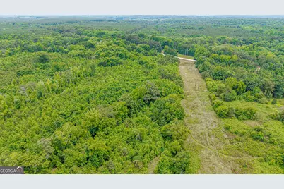 0 Washington Highway, Union Point, GA 30669 - Photo 21