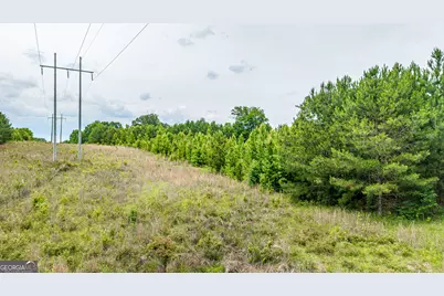 0 Washington Highway, Union Point, GA 30669 - Photo 15