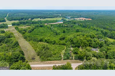0 Washington Highway, Union Point, GA 30669 - Photo 3