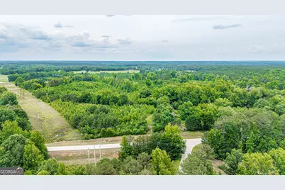 0 Washington Highway, Union Point, GA 30669 - Photo 19
