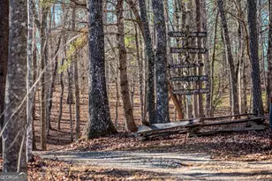 4011 Murphy Hwy, Mineral Bluff, GA 30559 - Photo 43