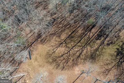 4011 Murphy Highway, Mineral Bluff, GA 30559 - Photo 73