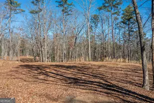 4011 Murphy Hwy, Mineral Bluff, GA 30559 - Photo 69