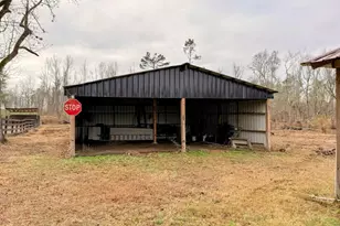147 McLoon Rd, Hazlehurst, GA 31539 - Photo 21
