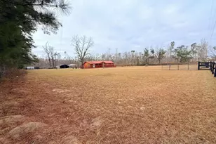 147 McLoon Rd, Hazlehurst, GA 31539 - Photo 37