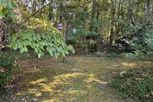 246 Woodvale St, Clarkesville, GA 30523 - Photo 7