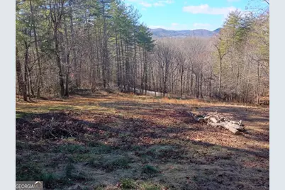 978 Ashley Lane, Young Harris, GA 30582 - Photo 11