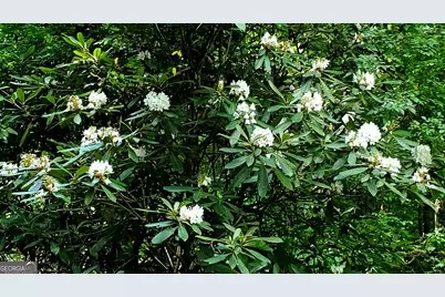 Lot 5 Gold Ridge Trail, Cherrylog, GA 30522 - Photo 9