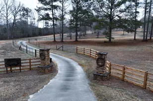 2214 Turner Rd, Williamson, GA 30292 - Photo 47