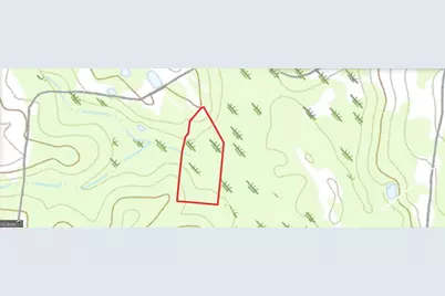 0 Flint Dr #275, Eastman, GA 31023 - Photo 7