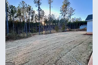 217 Perkins Place Drive #LOT 24, Hogansville, GA 30230 - Photo 29