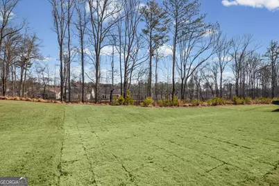 1423 Wild Cherry Court, Griffin, GA 30223 - Photo 43