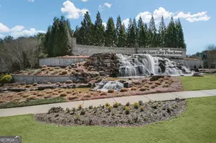 1423 Wild Cherry Ct, Griffin, GA 30223 - Photo 47