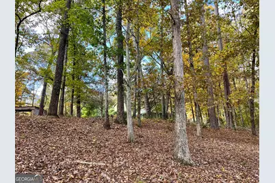 159 May Lane, Zebulon, GA 30295 - Photo 107