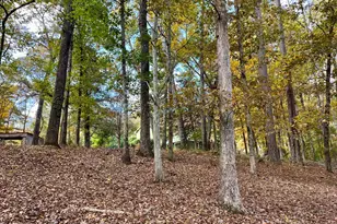 159 May Ln, Zebulon, GA 30295 - Photo 107