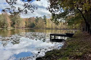 159 May Ln, Zebulon, GA 30295 - Photo 105