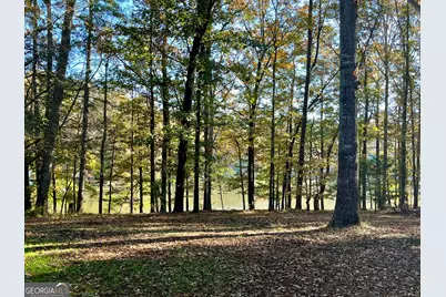 159 May Lane, Zebulon, GA 30295 - Photo 7