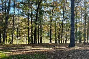 159 May Ln, Zebulon, GA 30295 - Photo 7