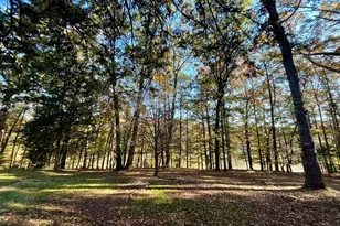 159 May Ln, Zebulon, GA 30295 - Photo 9