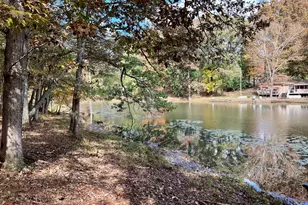 159 May Ln, Zebulon, GA 30295 - Photo 103