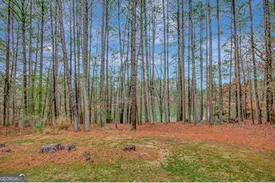 180 Bontura Drive, Senoia, GA 30276 - Photo 23