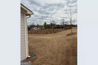 5 Club Cresswind Drive, Newnan, GA 30263 - Photo 9