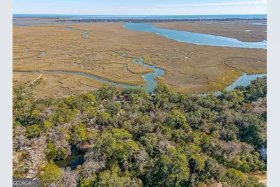 117 Canopy Lane, Saint Simons, GA 31522 - Photo 9