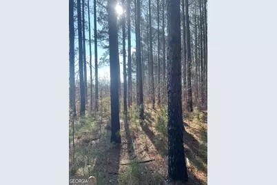0 Hebron Church Road #1, Thomaston, GA 30286 - Photo 3