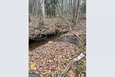 0 Hebron Church Road #1, Thomaston, GA 30286 - Photo 7