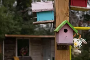 901 E Waring St, Waycross, GA 31501 - Photo 31