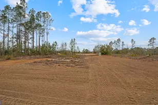 735 Hires Rd, Jesup, GA 31545 - Photo 29