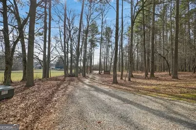 1800 Mandeville Road, Bremen, GA 30110 - Photo 39