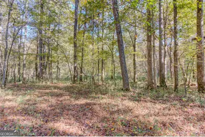 1520 Rivermist Drive, Monroe, GA 30655 - Photo 55