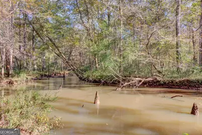 1520 Rivermist Drive, Monroe, GA 30655 - Photo 57
