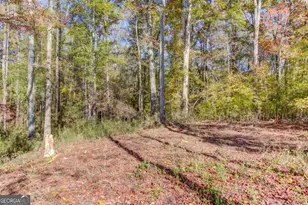 1520 Rivermist Dr, Monroe, GA 30655 - Photo 51