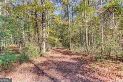 1520 Rivermist Drive, Monroe, GA 30655 - Photo 53