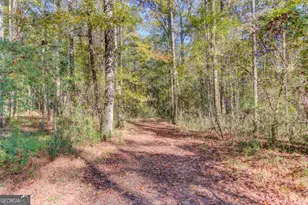 1520 Rivermist Dr, Monroe, GA 30655 - Photo 53