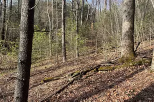 0 Winter Ct, Dillard, GA 30537 - Photo 1