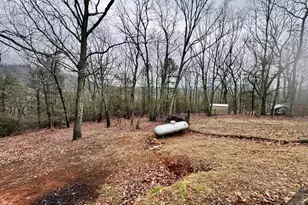 424 Mountain Oak Trail, Jasper, GA 30143 - Photo 39