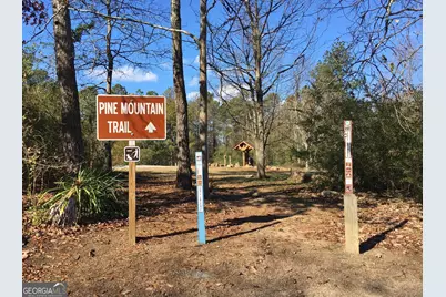 185 Royal Lodge Circle, Warm Springs, GA 31830 - Photo 51