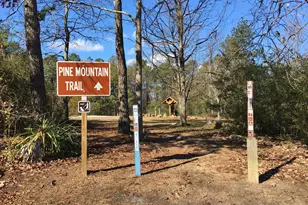 185 Royal Lodge Circle, Warm Springs, GA 31830 - Photo 51