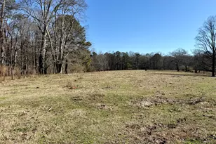 1121 Kansas Jake Rd, Waco, GA 30182 - Photo 9