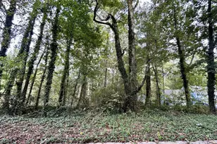 3291 Chesterfield Ct, Snellville, GA 30039 - Photo 1