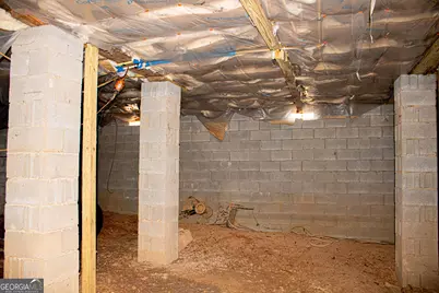 242 Katy Lake Road, Jackson, GA 30233 - Photo 115