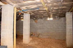 242 Katy Lake Rd, Jackson, GA 30233 - Photo 115